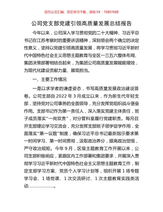 公司党支部党建引领高质量发展总结报告.docx