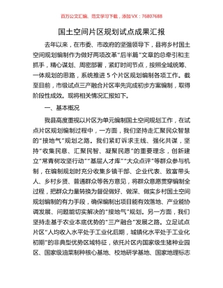 国土空间片区规划试点成果汇报.docx