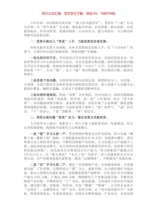 政府系统“能力作风建设年”工作汇报.docx