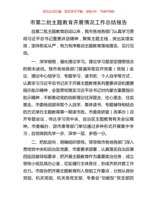 市第二批主题教育开展情况工作总结报告.docx