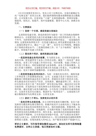 党建引领促发展 凝心聚力求实效——非公党支部党建汇报材料.docx