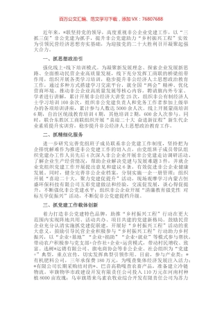 非公党建助力乡村振兴发展汇报材料 (2).docx