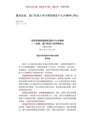 重庆区县、部门负责人学习贯彻落实十九大精神心得①.docx