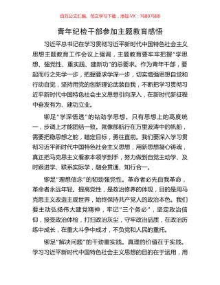 青年纪检干部参加主题教育感悟.docx