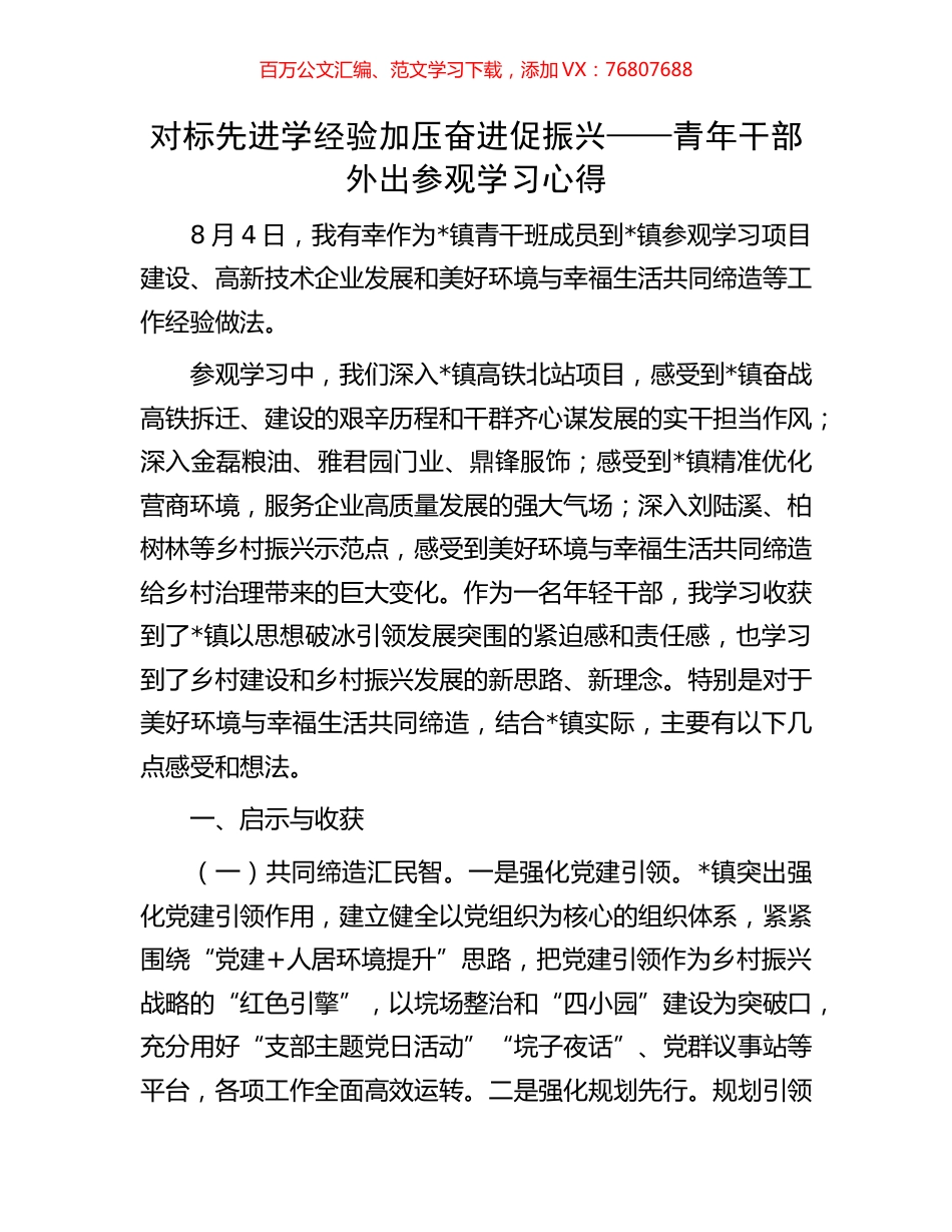 对标先进学经验加压奋进促振兴——青年干部外出参观学习心得.docx_第1页