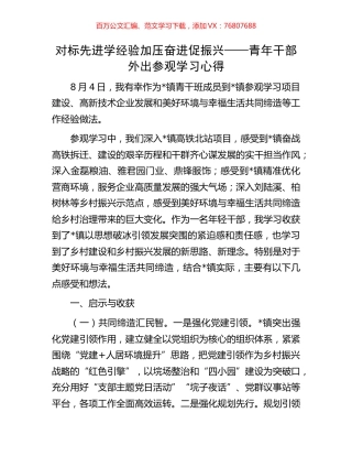 对标先进学经验加压奋进促振兴——青年干部外出参观学习心得.docx