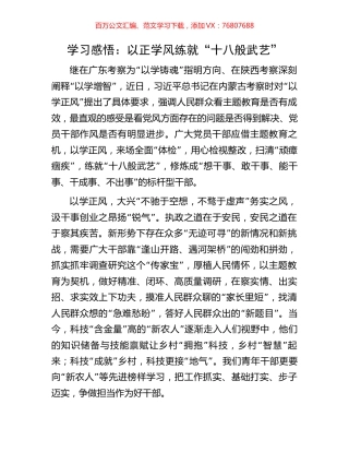 学习感悟：以正学风练就“十八般武艺”.docx