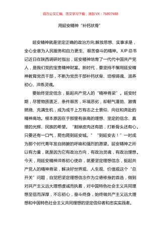 学习调研延安心得体会.docx