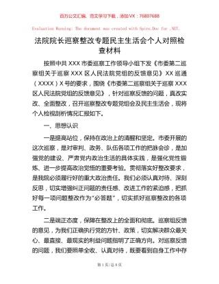 20221016法院院长巡察整改专题民主生活会个人对照检查材料.docx