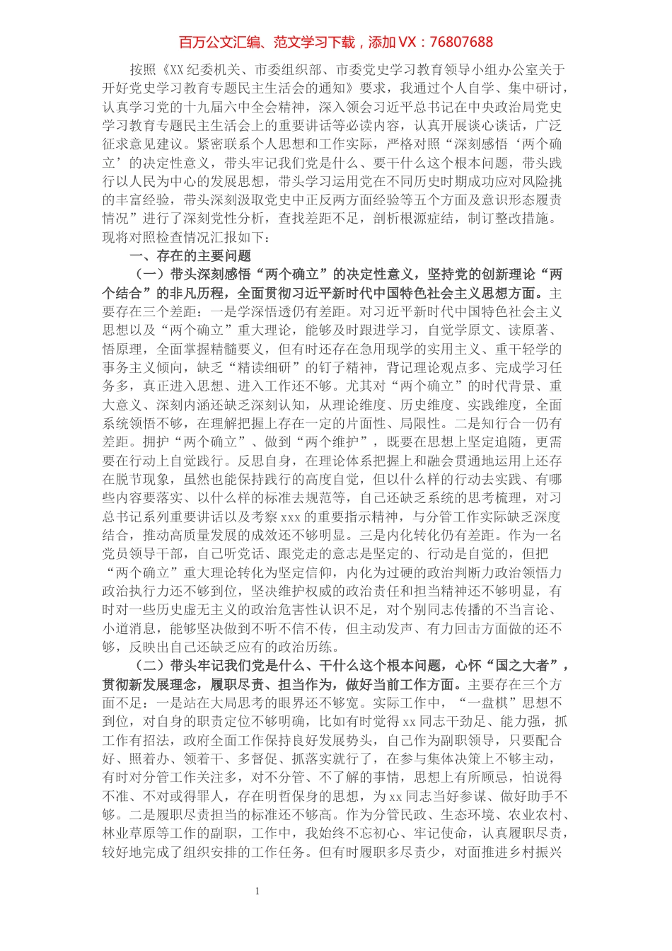 市政府党组成员党史学习教育专题民主生活会对照检查材料.docx_第1页