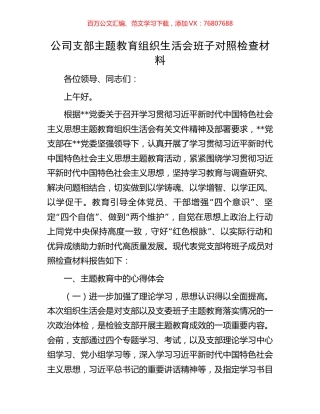 公司支部主题教育组织生活会班子对照检查材料.docx