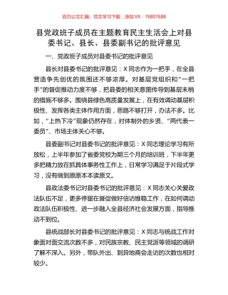 县党政班子成员在主题教育民主生活会上对县委书记、县长、县委副书记的批评意见.docx