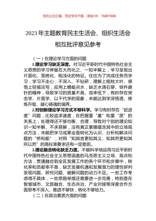 2023年主题教育民主生活会、组织生活会相互批评意见参考.docx