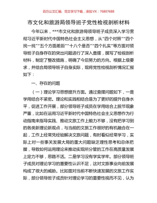 市文化和旅游局领导班子党性检视剖析材料.docx