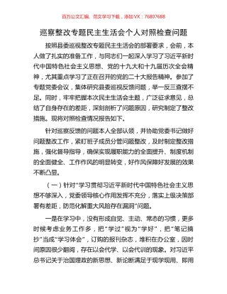 巡察整改专题民主生活会个人对照检查问题.docx