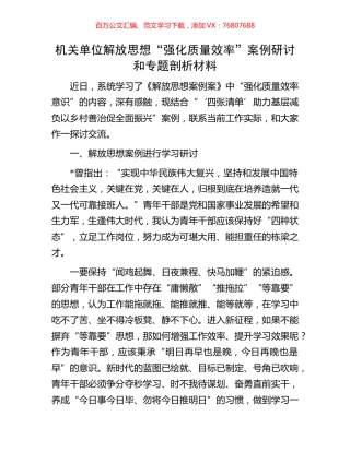 机关单位解放思想“强化质量效率”案例研讨和专题剖析材料.docx