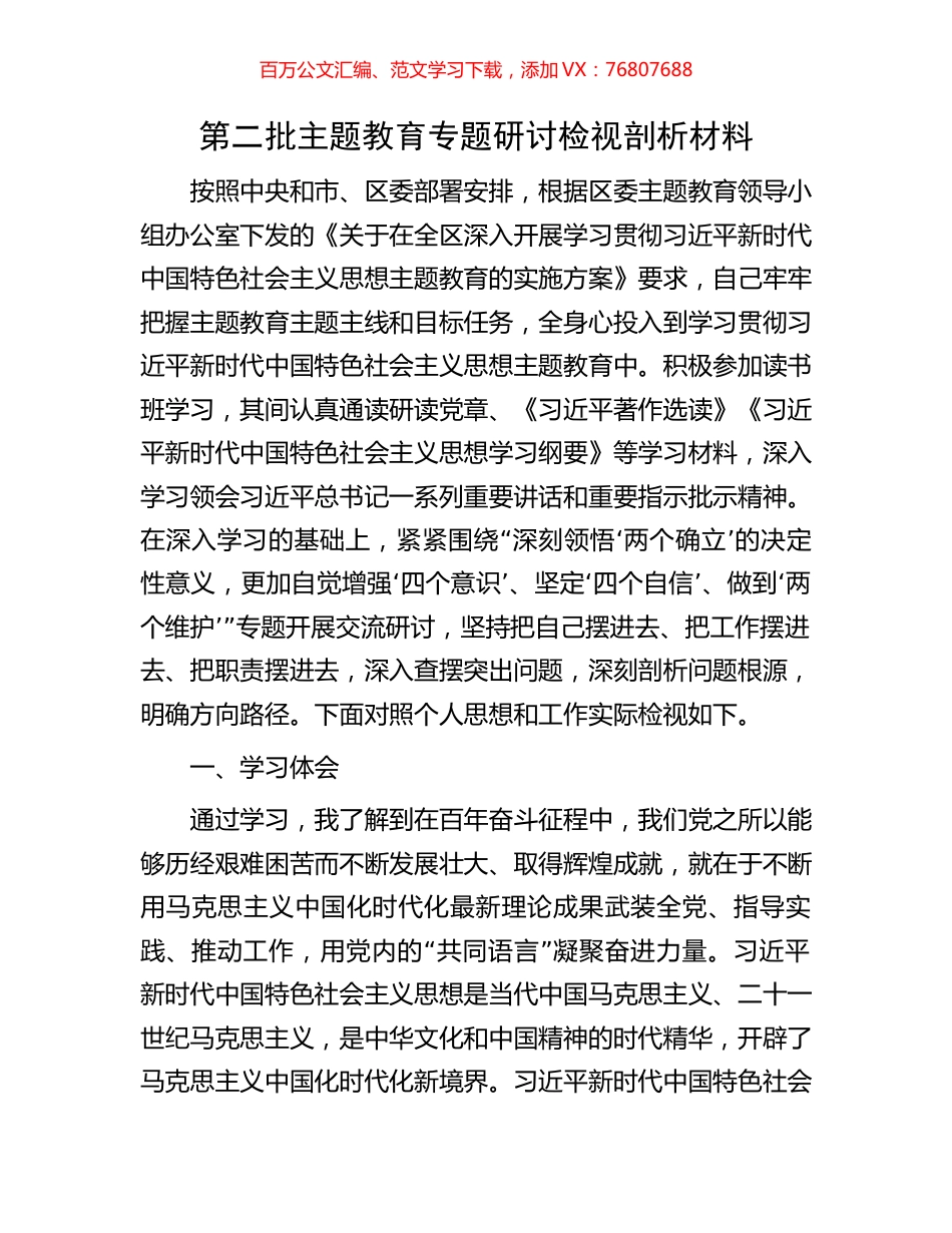 第二批主题教育专题研讨检视剖析材料.docx_第1页