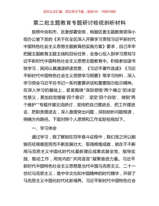 第二批主题教育专题研讨检视剖析材料.docx