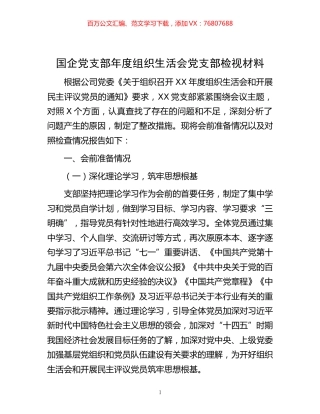 -国企党支部年度组织生活会党支部检视材料.docx