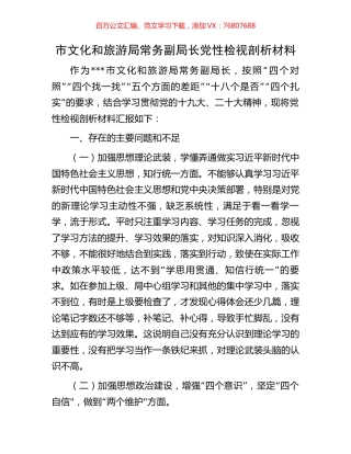 市文化和旅游局常务副局长党性检视剖析材料.docx