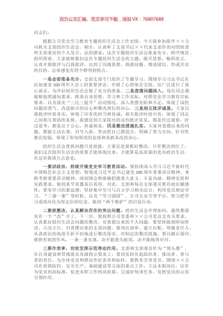 国企党委书记参加下属公司支部专题组织生活会点评材料​​​​​​​​​​.docx