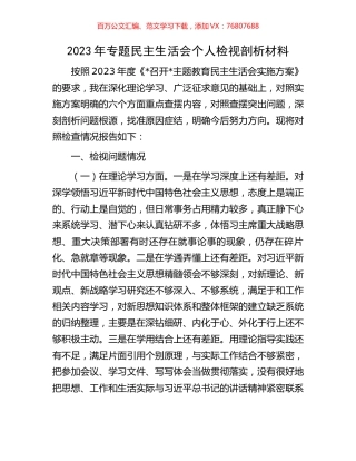 2023年专题民主生活会个人检视剖析材料.docx