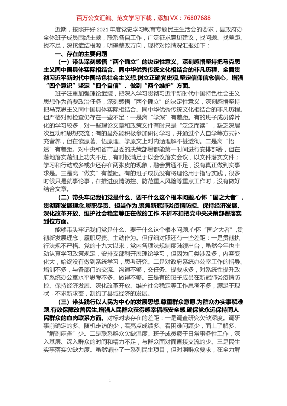县政府办领导班子党史学习教育专题民主生活会剖析材料.docx_第1页