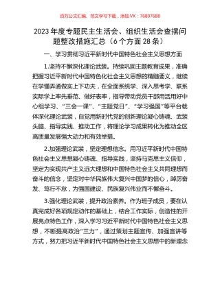 2023年度专题民主生活会、组织生活会查摆问题整改措施汇总（6个方面28条）.docx