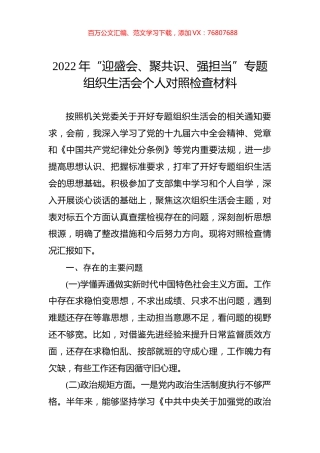 2022年“迎盛会、聚共识、强担当”专题组织生活会个人对照检查材料.docx
