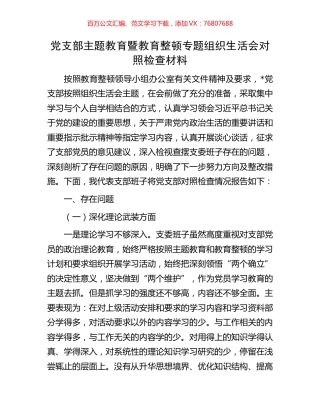 党支部主题教育暨教育整顿专题组织生活会对照检查材料.docx