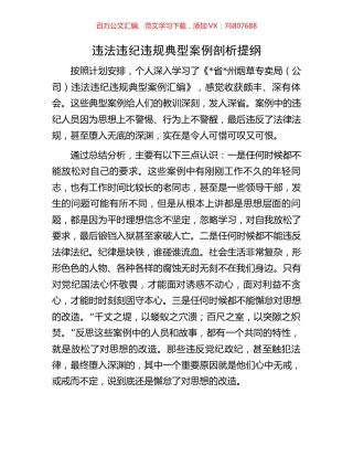 违法违纪违规典型案例剖析提纲.docx