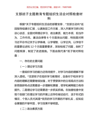 支部班子主题教育专题组织生活会对照检查材料.docx