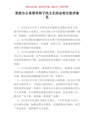 党政办公室领导班子民主生活会相互批评意见.docx