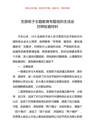 支部班子主题教育专题组织生活会对照检查材料01.docx