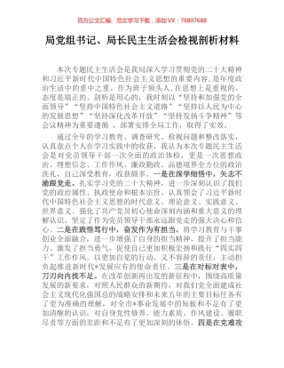 局党组书记、局长民主生活会检视剖析材料.docx