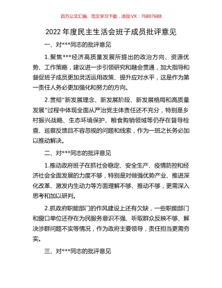 2022年度民主生活会班子成员批评意见.docx