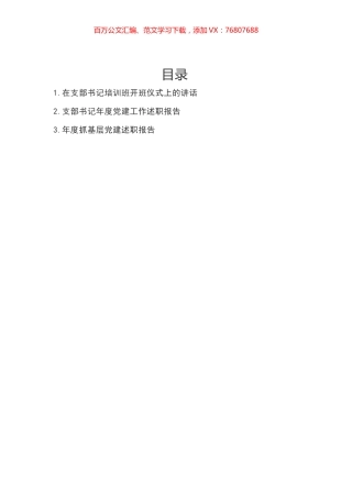 支部书记年度党建工作述职报告汇编.docx