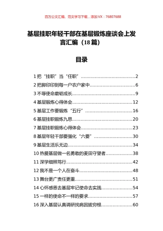 基层挂职年轻干部在基层锻炼座谈会上发言汇编（18篇）.docx