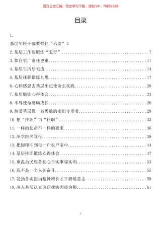 挂职干部在基层锻炼座谈会上发言汇编（18篇）.docx