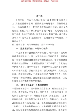 2023年纪检监察干部谈学习二十届中央纪委二次全会讲话心得体会及研讨发言汇编.docx