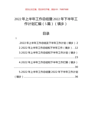 2022年上半年工作总结暨2022年下半年工作计划汇编（5篇）（镇乡）.docx