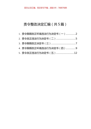 责令整改决定汇编（共5篇）.docx