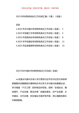 2023年专项特色亮点工作总结汇编.docx