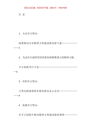 甘肃省文明办主任会议交流发言材料汇编.docx