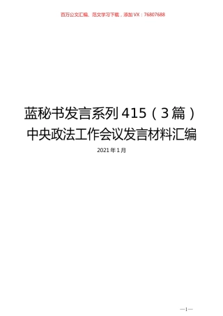 （3篇）中央政法工作会议发言材料汇编.docx