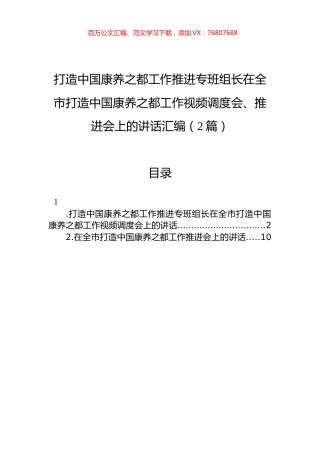 打造中国康养之都工作推进专班组长在全市打造中国康养之都工作视频调度会、推进会上的讲话汇编（2篇）.docx