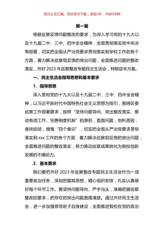 党支部组织专题民主生活会整改落实工作方案汇编.docx