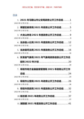 2021年政务公开工作总结汇编（30篇） (3).docx