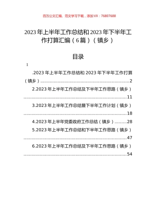 2023年上半年工作总结和2023年下半年工作打算汇编（6篇）（镇乡）.docx