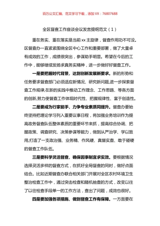 全区督查工作座谈会议发言汇编.docx